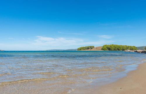 House Pansy - Foto 41