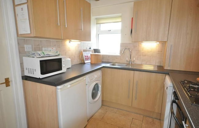 Green Door Rose - Photo 8