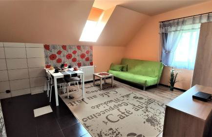 Apartamenty Pilsko Korbielów komfortowe mieszkania dla rodzin i narciarzy w Beskidach - Foto 70