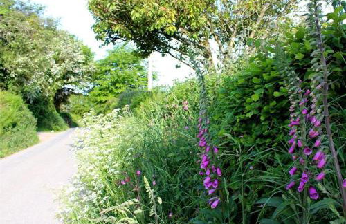 Talland Croft - Foto 44