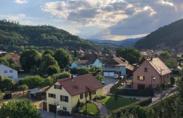 Le Kesbel entre Strasbourg et Colmar en centre Alsace - Foto 22