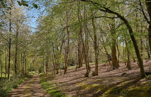 Charming 4-Bedroom Cottage in Henley - Foto 33