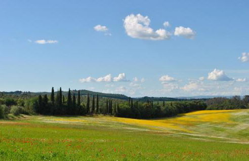 Stunning Apartment In Ville Di Corsano - Foto 31