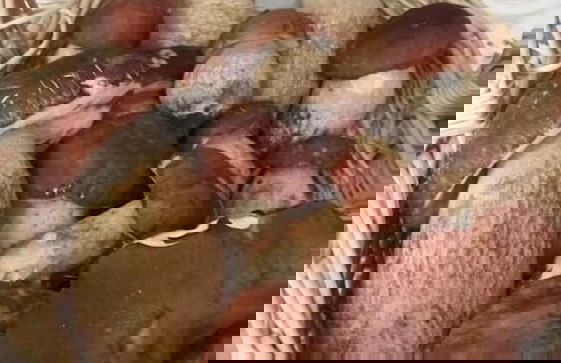 Locanda San Rocco - Foto 24