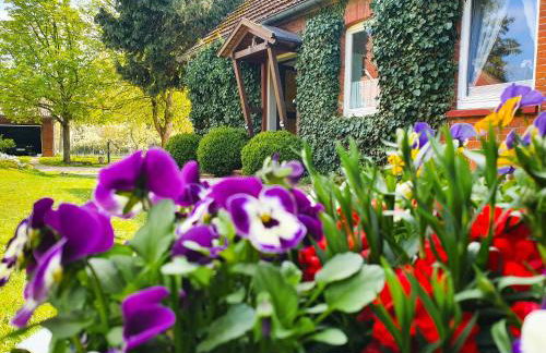 Am Alten Haus - Foto 29