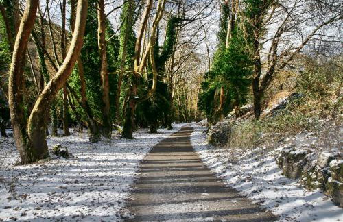 Chalet Coquelicot (Co-cli-co) relax in nature - Photo 37