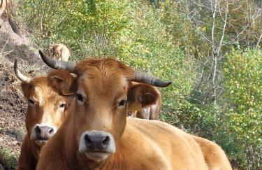 Casa Nayala - Foto 67