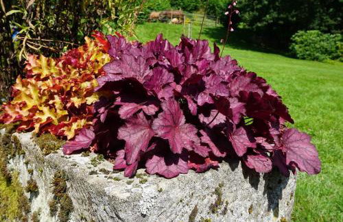 Ferienhaus am Leiselbach - Foto 18