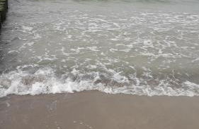 Strandläufer - Foto 13