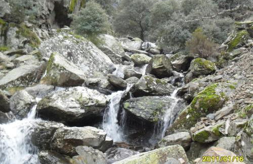 La Jelechera - Foto 36