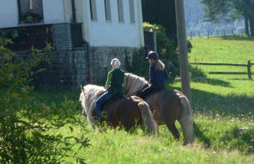 Urlaub auf dem Haberlhof - Foto 40