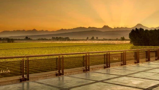 Atardecer en la bodega Séptima