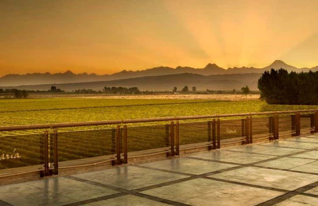 Tour privato delle cantine di Luján de Cuyo - Foto 4