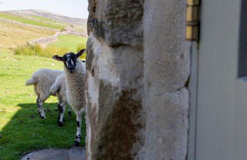 Heatherdene - Foto 29