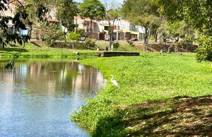 Casa do Lago em Londrina - Foto 63