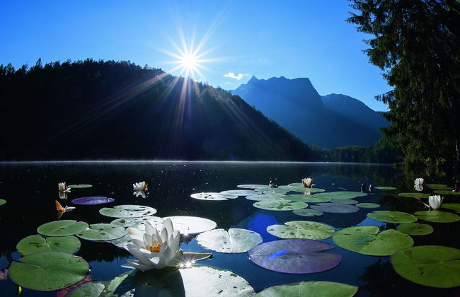 Ötztal Chalet - Foto 53