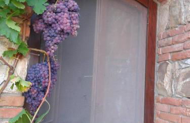 Villaggio dei Balocchi - Foto 62