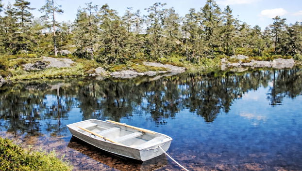 Førevanns Hytta - Foto 2, Place