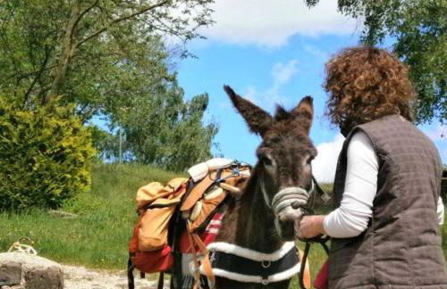Casa Modigliani - Tra Arte e Natura - Foto 41