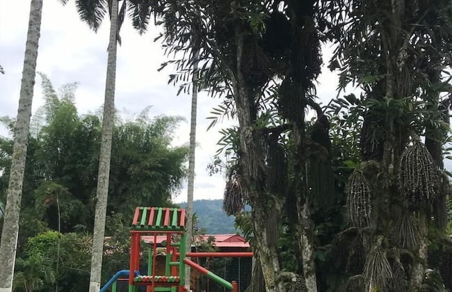 Ecocabañas Pereira - Foto 45