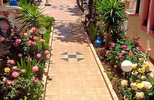 Palmira Apartments - Foto 29