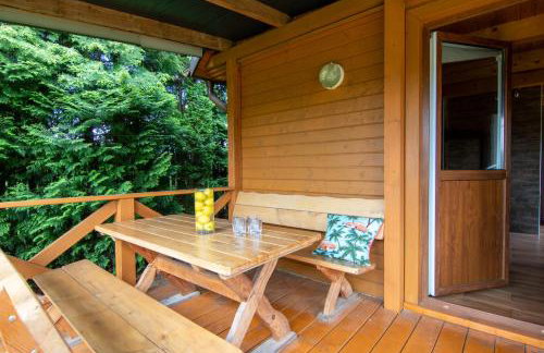 Nad Wigrami Agroturystyka Tarasiewicz - Foto 45