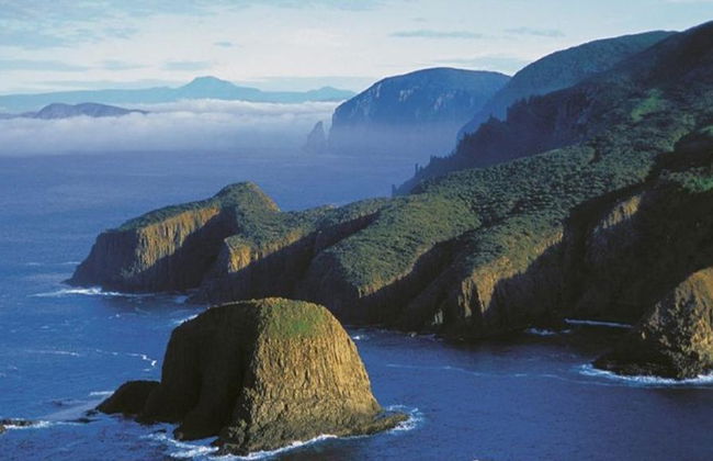 Cruzeiros pela Ilha Bruny - Cruzeiro de 3 horas pela Natureza Selvagem - Foto 5