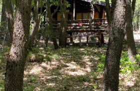 Woods Etna Chalet - Foto 1