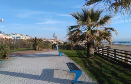 Stella di mare - Foto 30