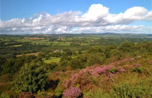 Tranquil countryside cottage for two - Foto 28
