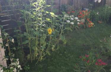 Standing, calm & confort. - Foto 24