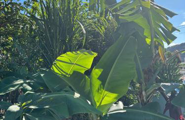 Sea & Mountain View Home in Machico - Foto 62