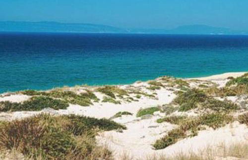 Comporta House - Foto 48