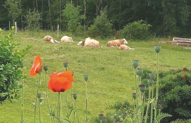 Cozy Apartment Near the Forest in Mark - Foto 32