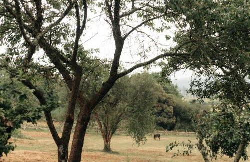 Casa de la Pradera - Foto 4