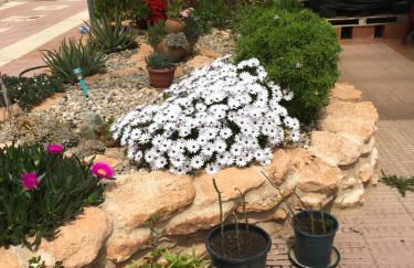 Amor Sin Fin - Foto 47