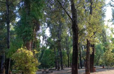 Διαμέρισμα studioJoy4stay στο Χαλάνδρι - Foto 28