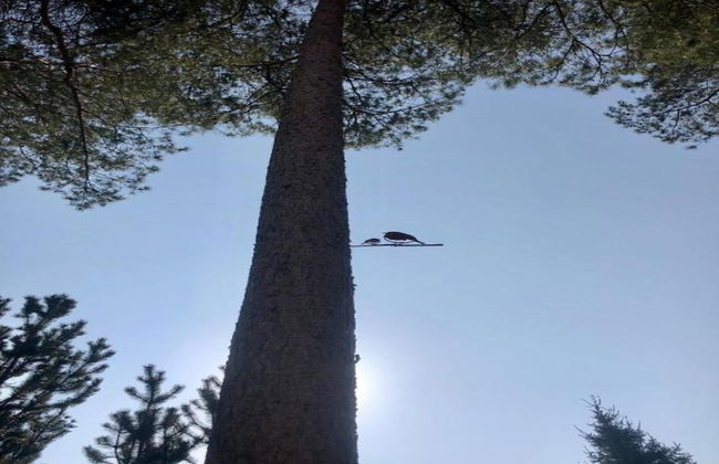 Holiday Lodge in Staphorst With Pool Access - Photo 27