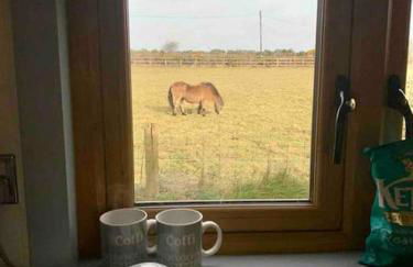 The Hut@Trefechan Wen - Coastal Coziness! - Photo 17