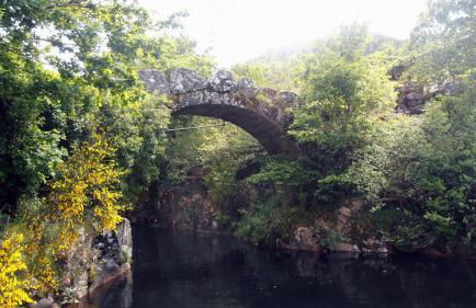 Casa da Avó - Foto 23