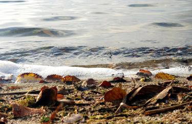 Siedlisko pod Aniołem - Foto 80