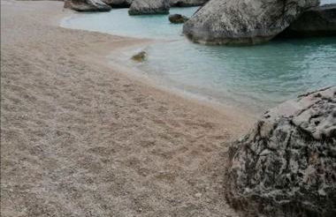 Sa Dommu de Kerciu vista mare con parcheggio - Foto 53