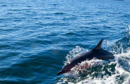 Stoer Pods - Quinag Pod - Foto 25