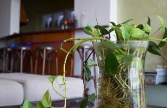 Dolichi View - Foto 14