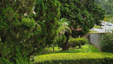 Chácara dos Pinheiros - Foto 5