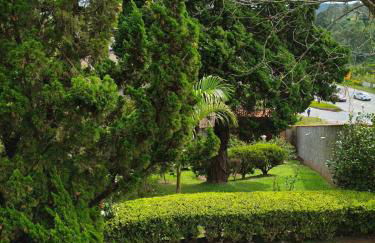 Chácara dos Pinheiros - Foto 5