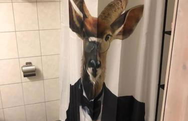 Fritzis Alpenidyll „Sommertraum & Winterromantik” - Foto 6