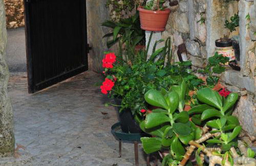 Quinta das Eiras - Foto 44