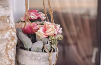 Villa Nestor - Foto 55