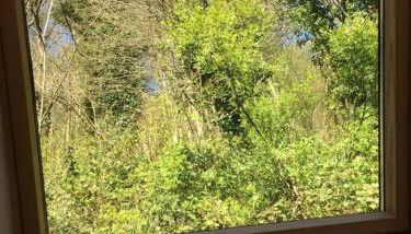 Mellow Mountain Eco Retreat Wales Hot-Tub Sauna - Foto 3